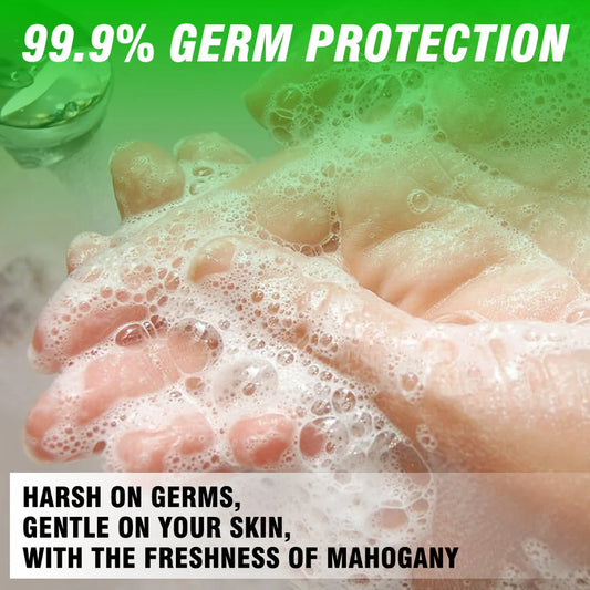 Natural Moisturising Foaming Handwash